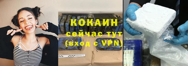 спайс Ельня