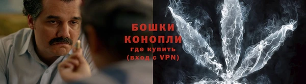 спайс Ельня