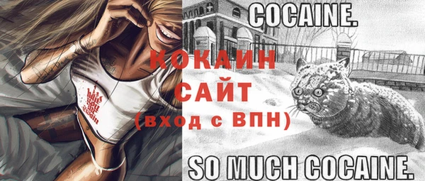 гашик Елабуга