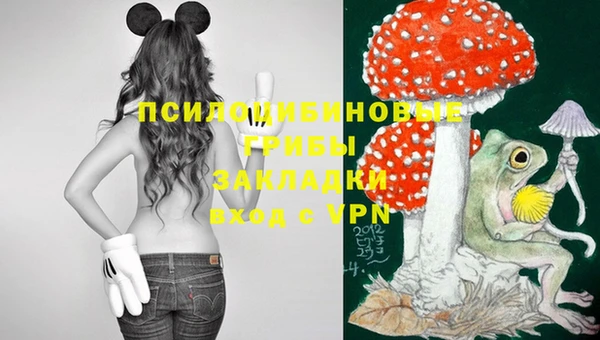 бошки Заволжск