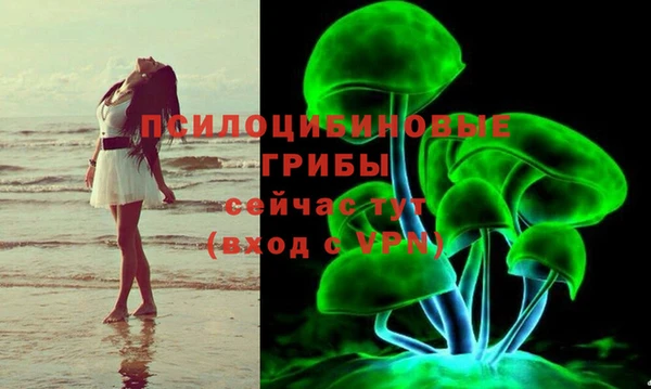 амфетамин Елизово